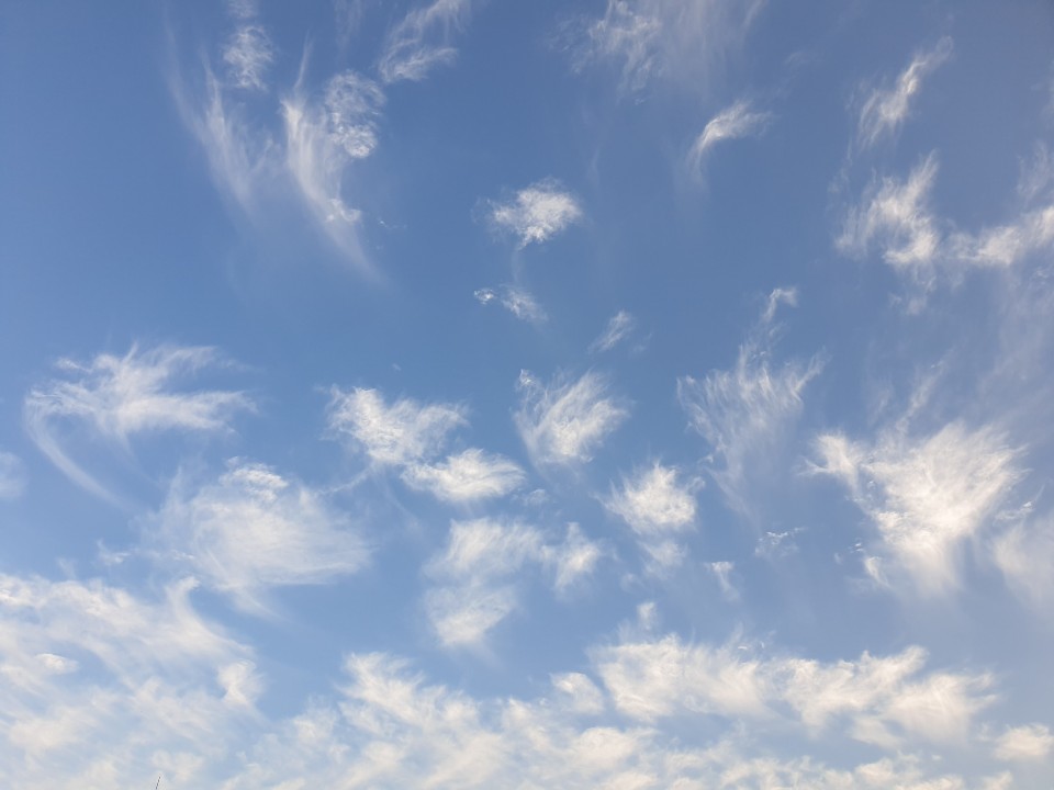 2019년 6월 2일 구름 2019_0602_02.jpg